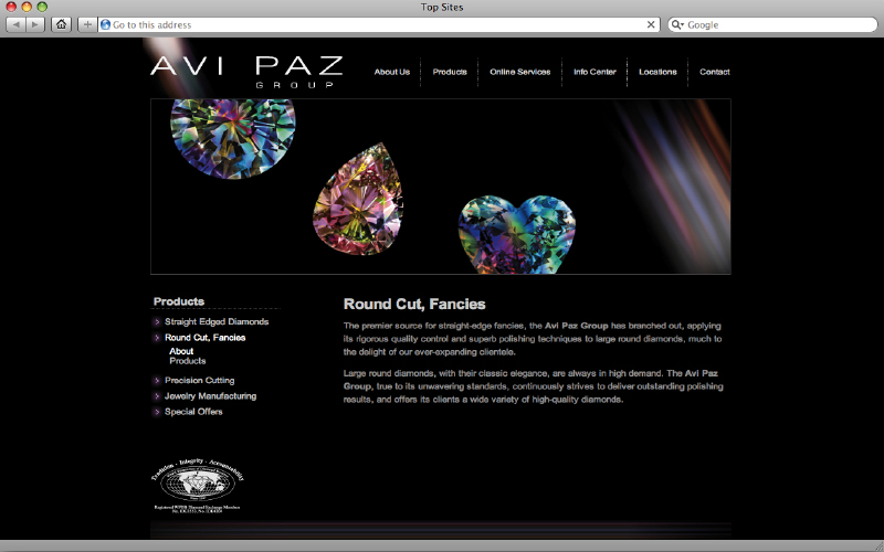 בניית אתר אינטרנט - Avi Paz